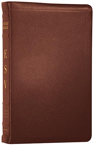 ESV Calfskin Bible